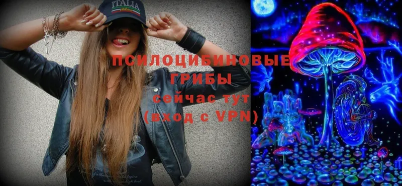 Псилоцибиновые грибы Magic Shrooms  Горячий Ключ 